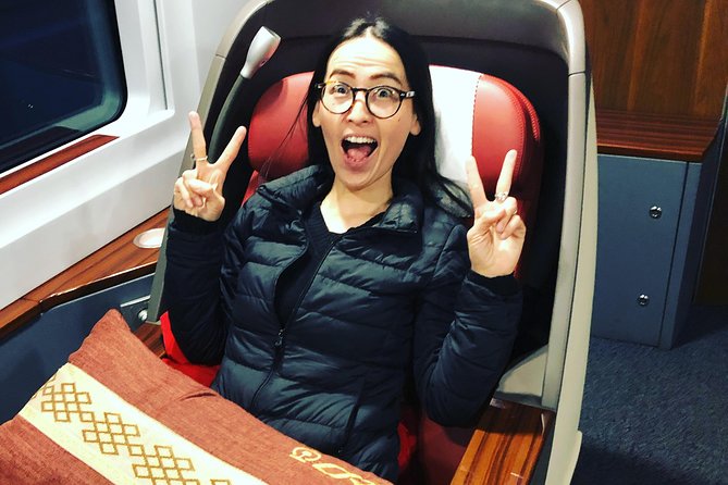 Private Day Trip to Terracotta Army from Beijing by Bullet Train - Meeting Your Xi’an Guide: Getting Oriented Fast at Xi’an North