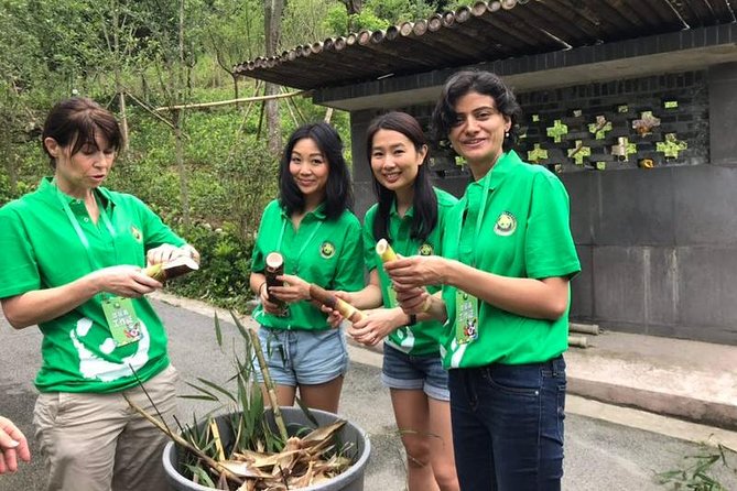 Private Dujiangyan Panda Base Panda Rescue Center Volunteer for a Day - Dujiangyan Panda Base: A volunteer day with a purpose