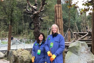 Private Dujiangyan Panda Base Panda Rescue Center Volunteer for a Day - Getting from Chengdu: private pickup and the mountain shuttle
