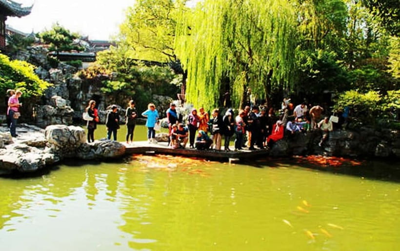 Private Flexible Shanghai Full Day City Tour in Your Way - Yu Garden and the Nine Zigzag Bridge in Old Town