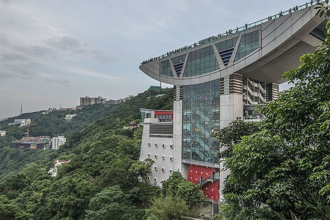 Private Full-Day Hong Kong Island Top Attraction Tour - Victoria Harbour: the payoff of having a plan