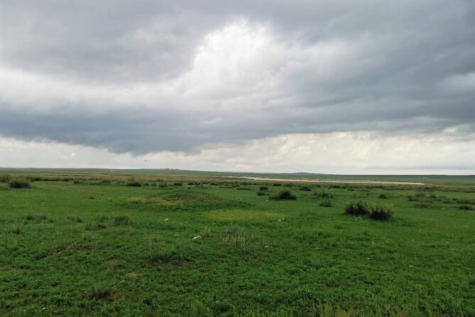 Private Full-Day Tour to Huitengxile Grassland from Hohhot - Mongolian Singing and Dancing + Lunch: A Good Reset