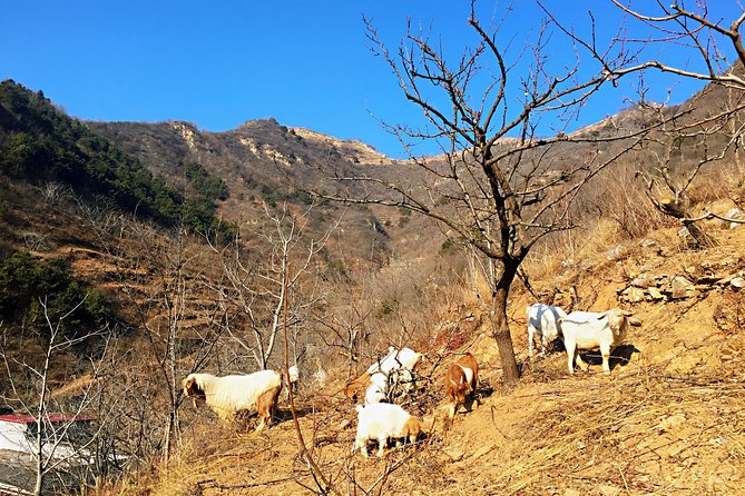 Private Great Wall Hiking Tour: Across The Border of 3 China Provinces - Price and value: is $198 per person fair for this kind of day?