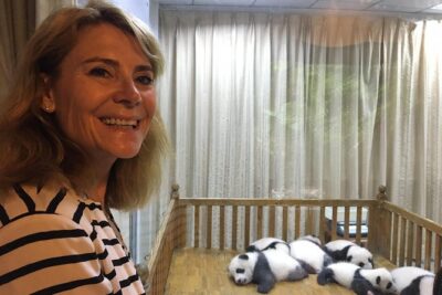 Private Half-Day Chengdu Panda Breeding Center Tour with Optional Volunteer - Your guided walk through panda life stages (baby, adolescent, adult)
