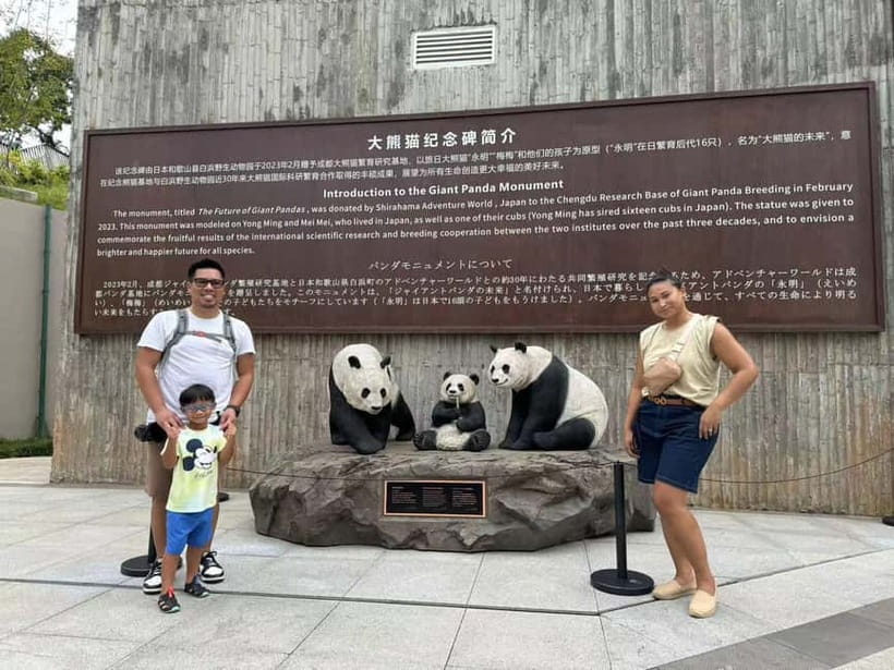 Private Half-Day Tour to Chengdu Panda Base - What You’ll Learn Inside the Base (Without Feeling Like a Lecture)