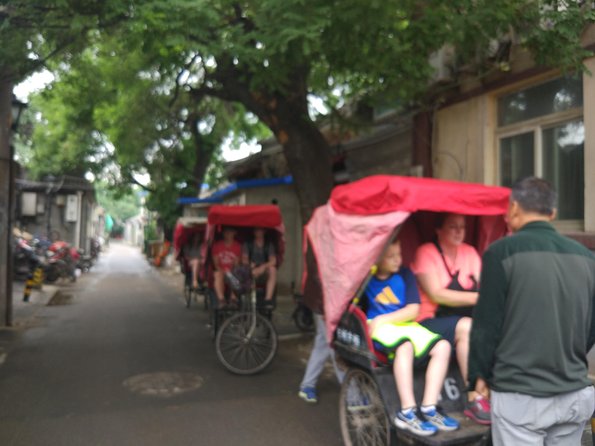 Private Hutong Culture Tour with Dumpling Cooking Class plus Cricket Fighting Game - Dumpling cooking class: hands-on skills you can take home