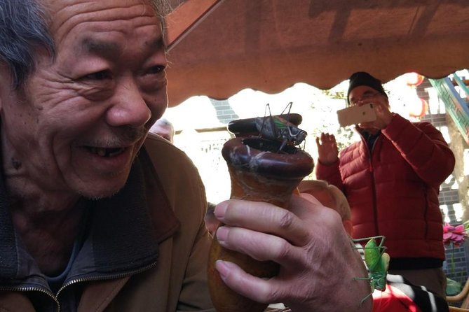 Private Hutong Culture Tour with Dumpling Cooking Class plus Cricket Fighting Game - Hutong tour by rickshaw: seeing Beijing the slow way