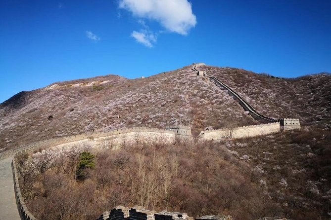 Private Layover Tour to Mutianyu Great Wall and Forbidden City - Mutianyu Great Wall: Shuttle Included, Time for Real Photos