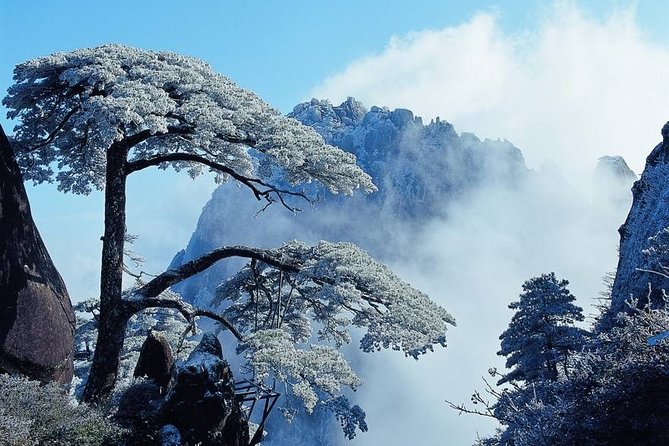 Private Photography Day Tour of Huangshan Yellow Mountain - Mt. Huangshan: pines, strange rocks, and that sea-of-clouds feeling