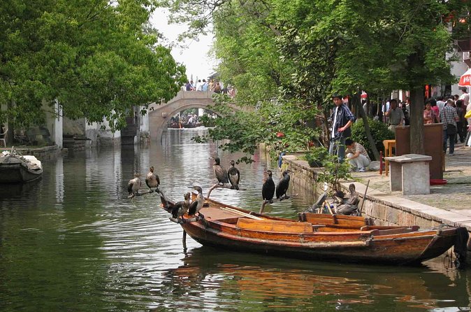 Private Round Trip Transfer to Suzhou & Zhouzhuang from Shanghai - The role of the driver and the human touch (and why it shows up)