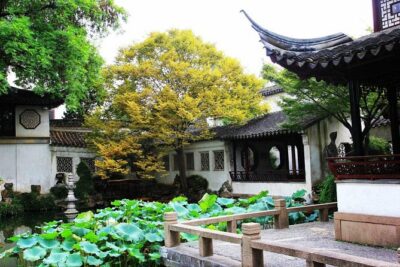 Private Suzhou and Tongli Water Village Day Trip from Shanghai - Pickup, Timing, and How the 9-Hour Schedule Feels in Real Life