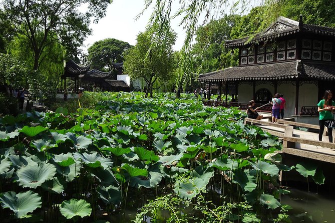 Private Suzhou Day Tour from Shanghai to Classical Gardens and Tongli Water Town - Timing, Comfort, and What to Bring for This Full-Day Route