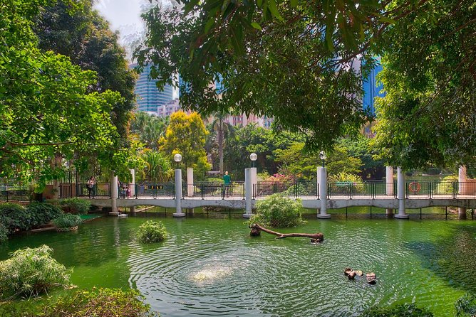 Private Tour: Customized 6-Hour Hong Kong City Tour - HSBC Main Building: Hong Kong’s financial story, explained in plain language
