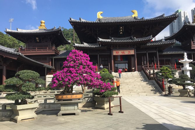 Private tour - Hong Kong's major sites and history - Key things you’ll notice on this Hong Kong major-sites day