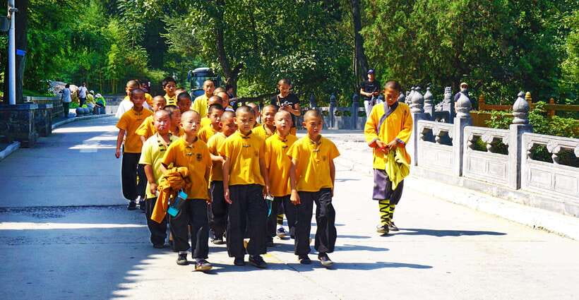 Private Tour: Longmen Grottoes, Shaolin Temple & Kungfu Show - How this one-day route works (and why it feels calmer)