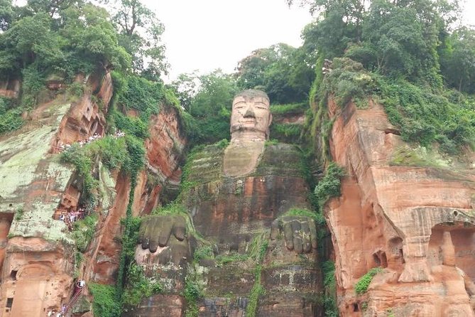 Private Tour of Chengdu Panda Center and Leshan Giant Buddha - A day built for two icons, with less hassle