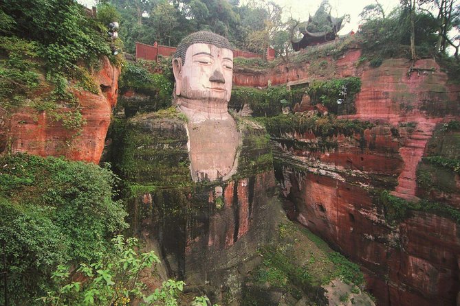 Private Tour of Chengdu Panda Center and Leshan Giant Buddha - How the private guide makes a difference (and why names like Bella and Emma matter)