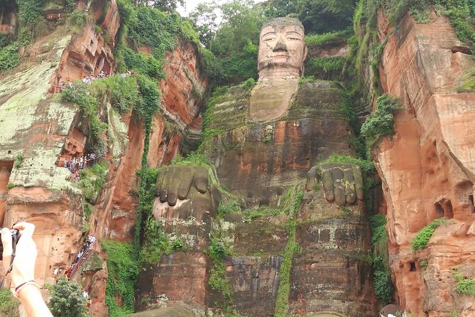 Private Tour of Chengdu Panda Center and Leshan Giant Buddha - Price and value: what $305 per person really includes