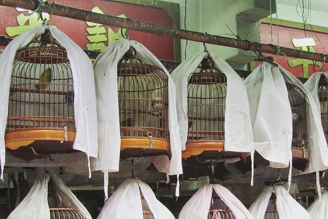 Private tour of Hong Kong - First timers - Sheung Wan and the Ding Ding tram: old town, on purpose