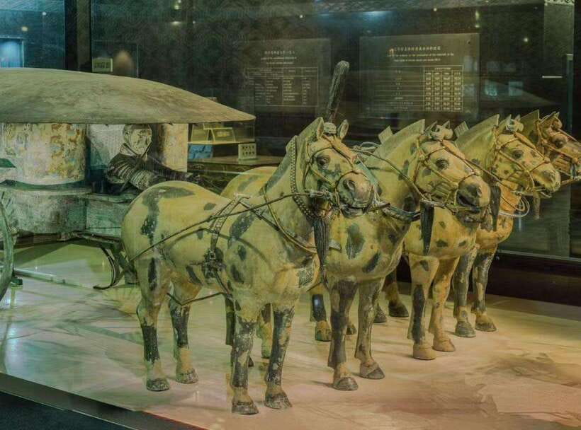 Private Tour of Terracotta Army & Tomb of First Emperor - Why the 07:30 start changes everything at the Terracotta pits