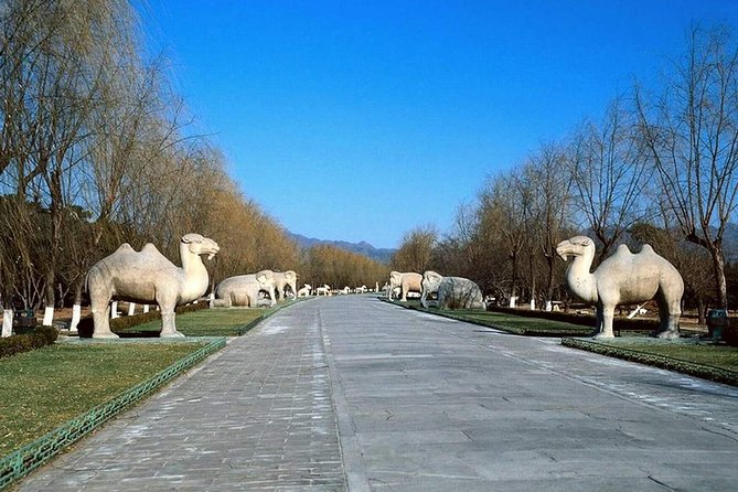 Private Tour to Mutianyu Great Wall and Ming Tombs - Ming Tombs at Tianshou Mountain: Sacred Way sculptures and a tomb choice
