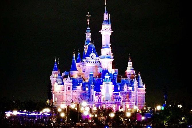 Private Transfer between Shanghai Disneyland and City Hotel - Door-to-door Shanghai Disneyland: why this transfer is worth it