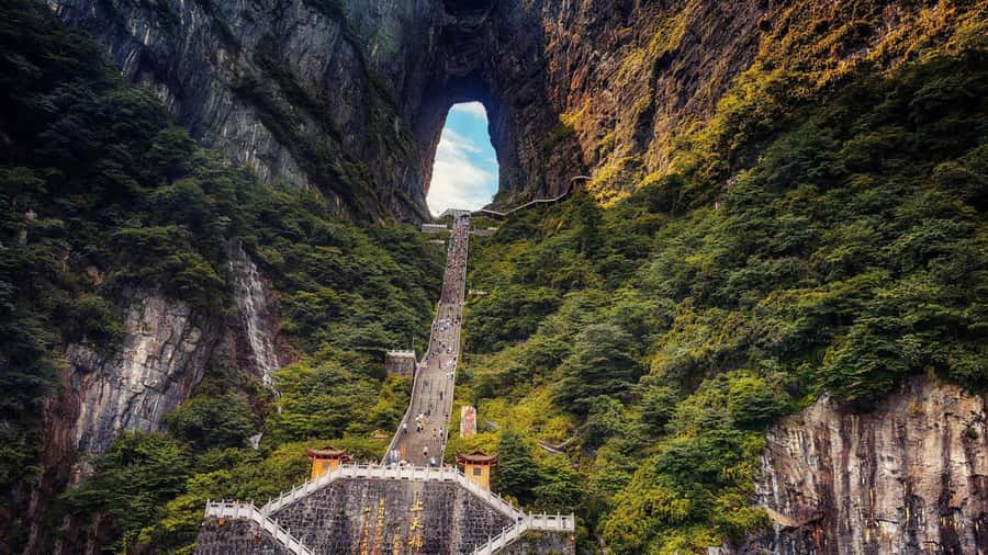 Private VIP Zhangjiajie Tianmen Mountain Day Tour - The Heavenly Ladder (999 steps): the classic climb and your options