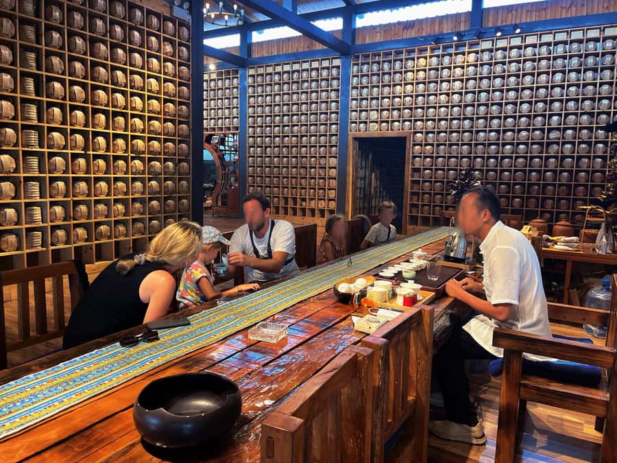 Puer Tea Picking and Tasting | 6 Hour Morning Trip - Lunch at the Farm and the Coffee Detour That Shows Up Sometimes