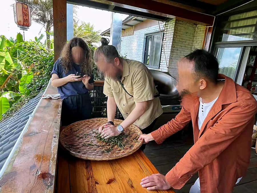 Puer Tea Picking and Tasting | 6 Hour Morning Trip - Getting There Smoothly: Jinghong or Pu’er Pickup and Morning Timing