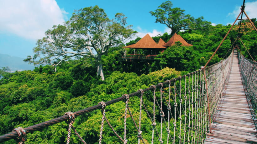 Sanya: Yalong Bay Tropical Forest Ticket and Tour Car - Where Yalong Bay’s Tropical Paradise Forest Park Fits on a Sanya Day