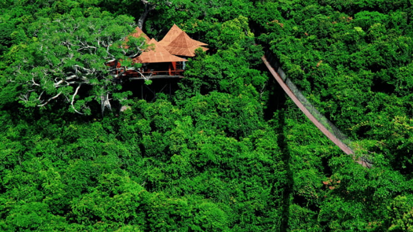 Sanya: Yalong Bay Tropical Forest Ticket and Tour Car - The 5D Magic Cinema: A Short Finish That Changes the Mood
