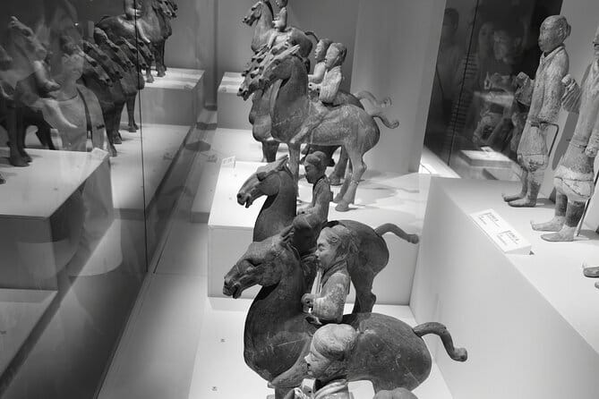 Shaanxi History Museum Qin-Han Branch English guide service - What you’re really paying for: $80 value in practical terms