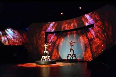 Shanghai ERA-Acrobatic Show Ticket with Private Transfer - What your evening looks like (pickup to drop-off)