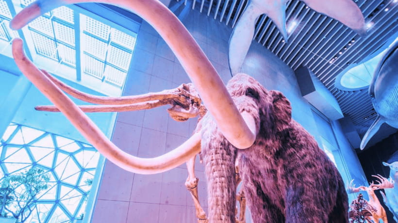 Shanghai: Natural History Museum Admission entry ticket - Ticket entry and the QR code reality