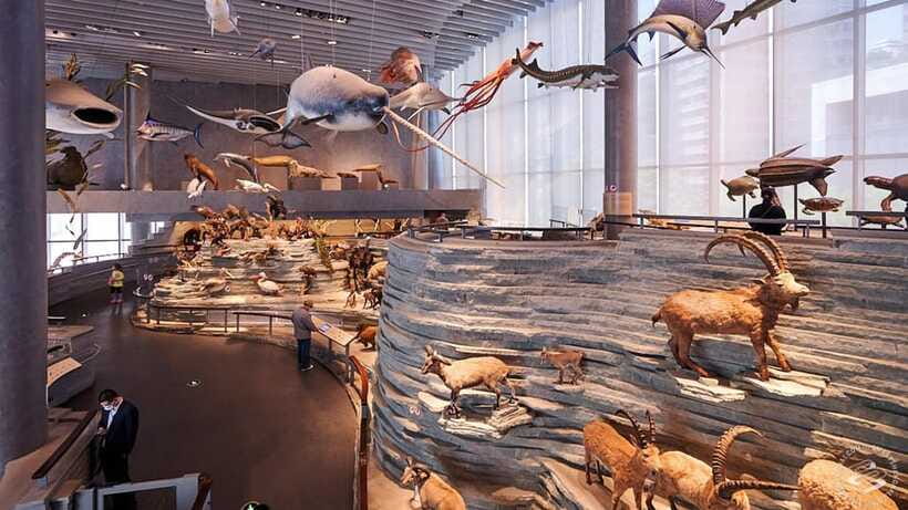 Shanghai: Natural History Museum Admission entry ticket - Shanghai Natural History Museum in Jing’an Sculpture Park