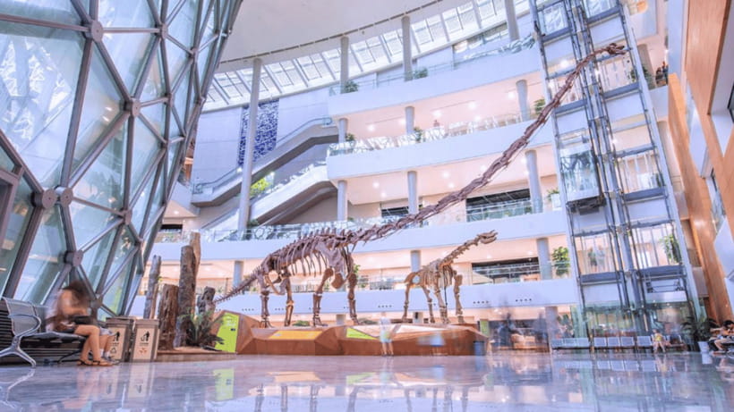 Shanghai: Natural History Museum Admission entry ticket - Fossil galleries that center on prehistoric life