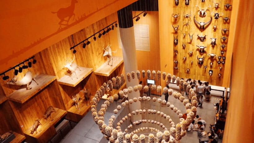 Shanghai: Natural History Museum Admission entry ticket - Biodiversity, evolution, and ecology in a modern learning setting
