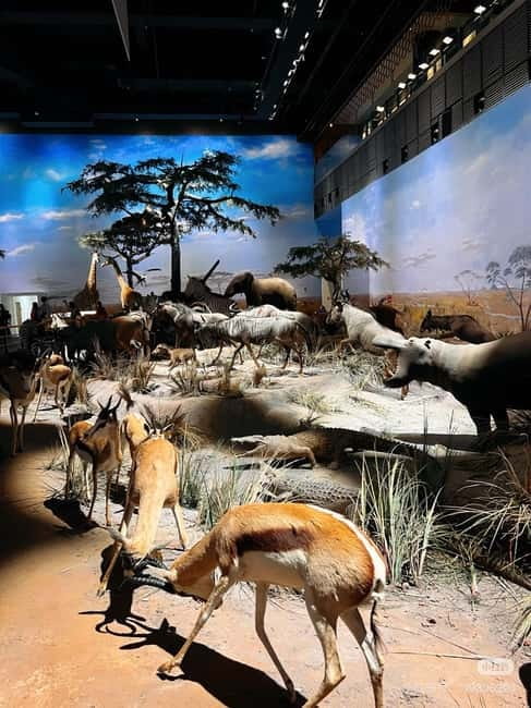 Shanghai: Natural Museum tickets with guide(optional) - FAQ