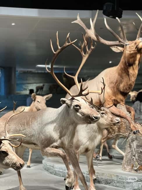 Shanghai: Natural Museum tickets with guide(optional) - Five Theaters Plus the 300-Square-Meter Live Breeding Area