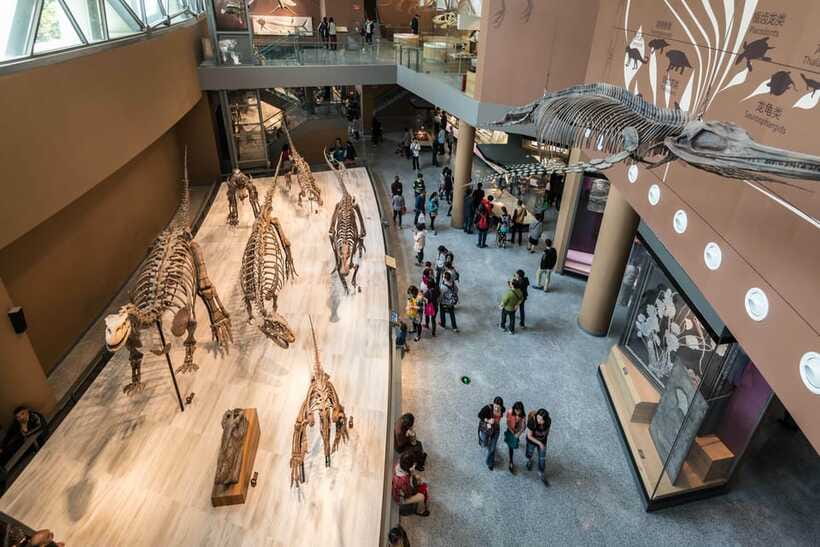 Shanghai: Private Tour of the Shanghai Museum - Language and guide style: how this tour stays readable