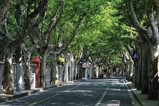 Shanghai Propaganda and History Walking Tour - Starting at Jiangsu Road: getting oriented before the first museum