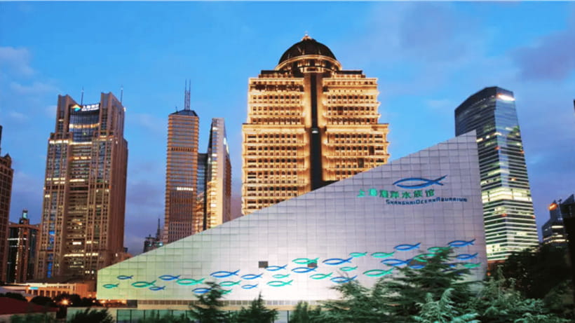 Shanghai: The Marine Wonders at Shanghai Ocean Aquarium - Key highlights I’d circle on your plan