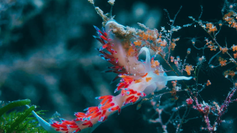 Shanghai: The Marine Wonders at Shanghai Ocean Aquarium - Live shows and interactive areas: where energy gets redirected