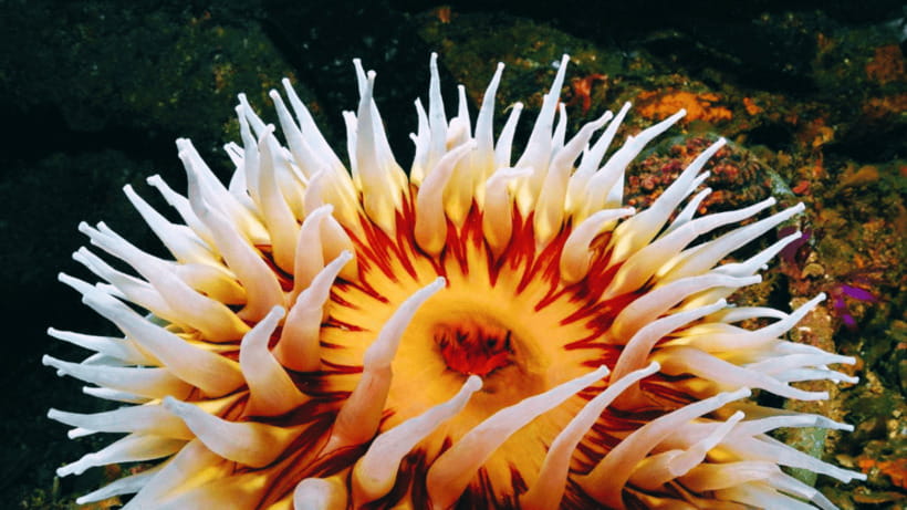 Shanghai: The Marine Wonders at Shanghai Ocean Aquarium - Clean, well-run, and family-focused: what the experience feels like in practice