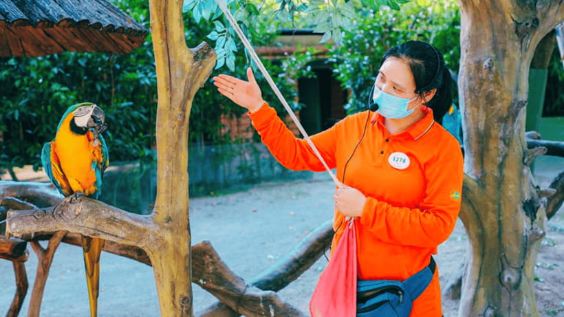 Shanghai: Wild Animal Park Ticket - The self-drive safari area: the big attraction, in plain terms