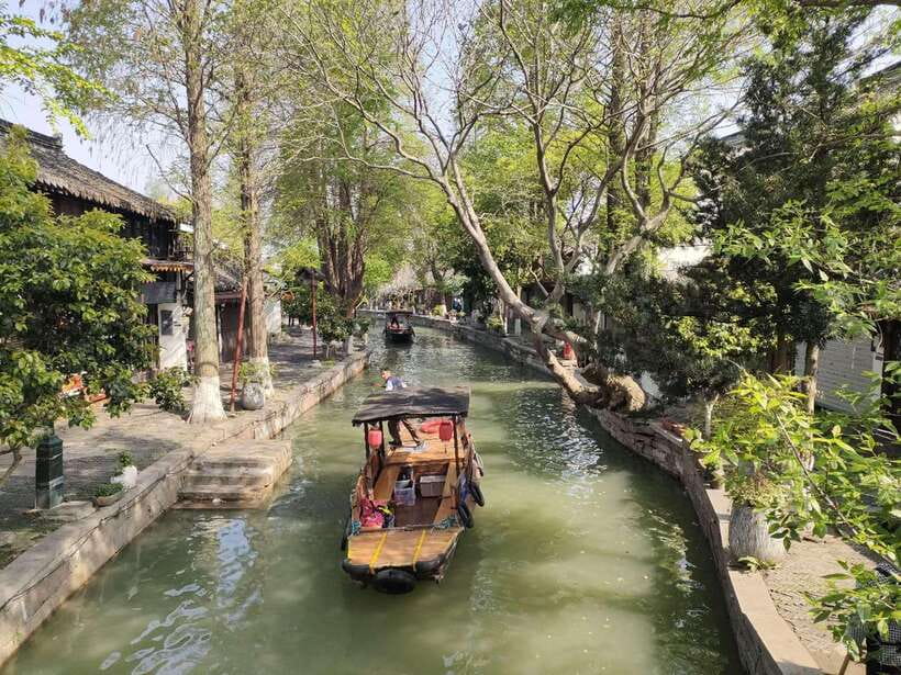 Shanghai: Zoo and Zhujiajiao Water Town Tour with Boat Ride - Who this tour suits best (and who might not love it)