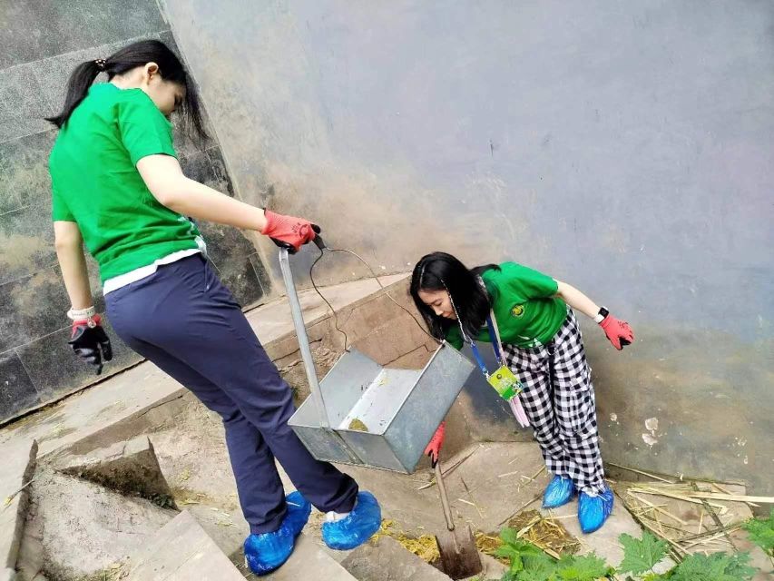 Sichuan: Big Panda Volunteer Day tour - The Price Tag: Is $347 a Good Value for a Volunteer Day?