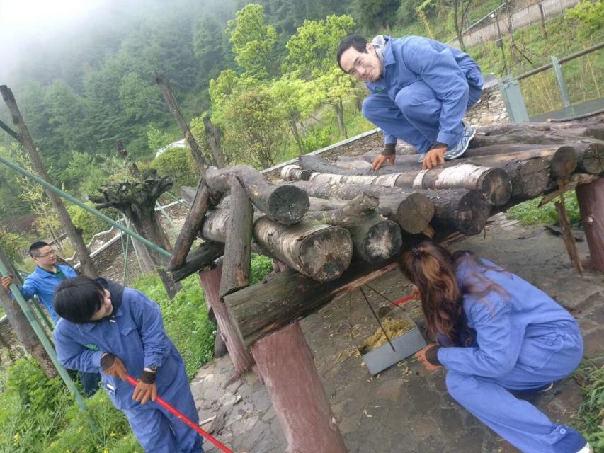 Sichuan: Big Panda Volunteer Day tour - Chengdu Pickup and the Morning Flow to the Base
