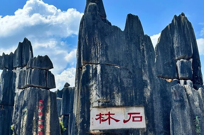 Stone Forest + Yiliang Roast Duck + Kunming City Private Tour - Door-to-door pickup and a private vehicle