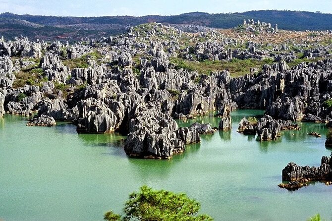 Stone Forest + Yiliang Roast Duck + Kunming City Private Tour - Kunming city time: pick your style, then let the guide handle the routing